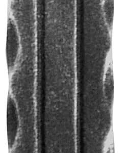 12.029